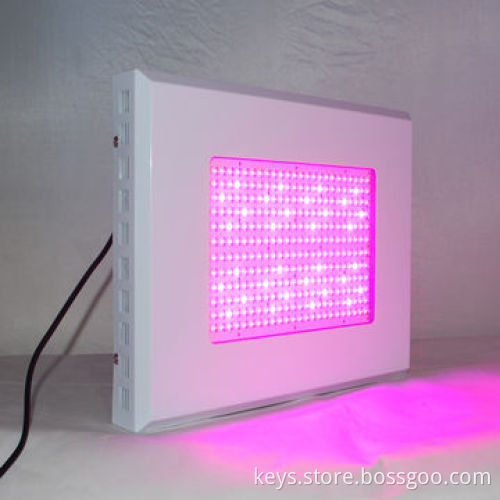 High Power 1,1520lm 3 Watts White LED Plant Grow Lights Bulb, 85-264V or Hydroponics
